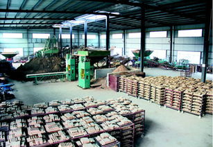 通江福德源陶瓷廠建成投產，投資管理助力地方經濟，新增就業崗位200個