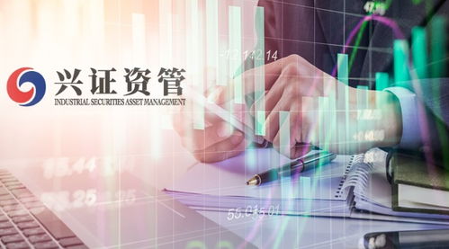 興證資管首只公募化產品起航 自有資金跟投與全員參與下的投資風格解析